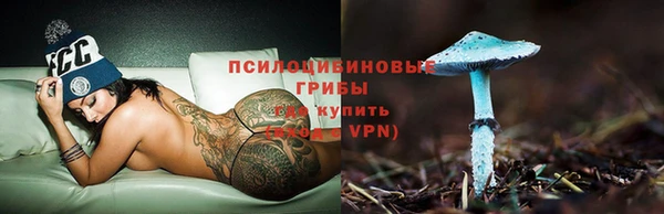трава Богородицк