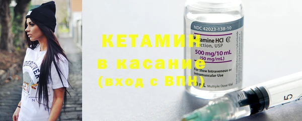 сатива Бородино
