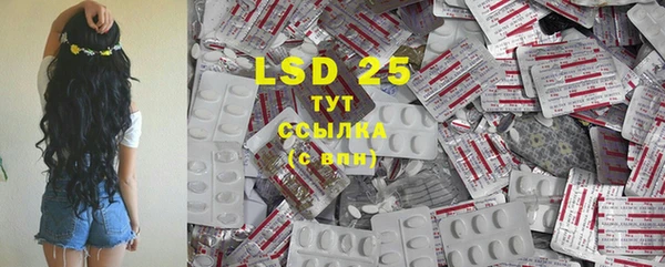 сатива Бородино