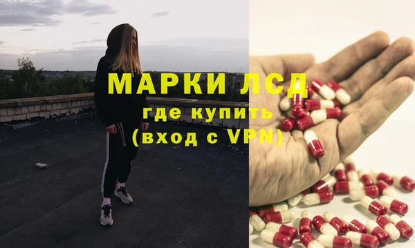 сатива Бородино